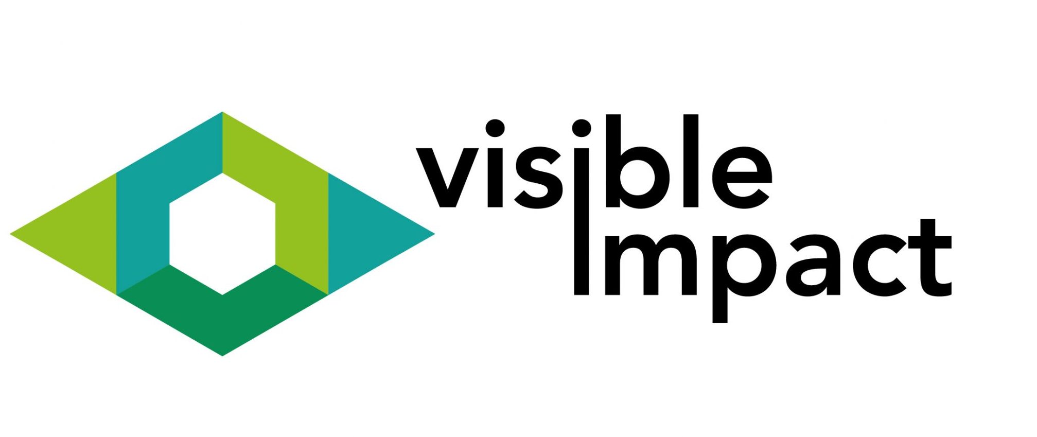 VISIBLE IMPACT